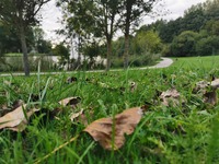 [Atelier Nature] Au Parc Loisirs et Nature de La Porte du Hainaut