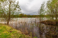 |Festival de l'Oiseau| Secrets des étangs et de la faune sauvage