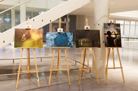 |Zones humides| Exposition photo