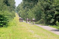 |Festival de l'Oiseau| La Trouée d’Arenberg et ses pavés mythiques