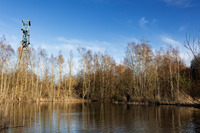 |Zones humides| Randonnée autour des plans d'eau du site minier de Sabatier