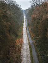 Visite guidée : "La Trouée d’Arenberg et ses pavés mythiques"