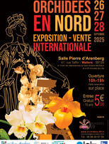 Orchidées en Nord