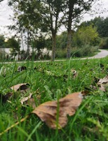 [Atelier Nature] Au Parc Loisirs et Nature de La Porte du Hainaut