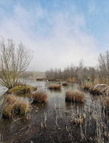 |Zones humides| Visite guidée faune et flore