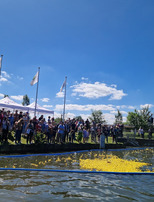 Les canards déchaînés de la Scarpe
