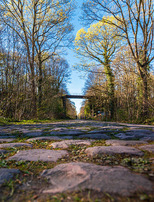 |Festival de l'Oiseau| La Trouée d’Arenberg : entre nature et légende