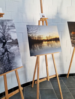 |Zones humides| Exposition photo