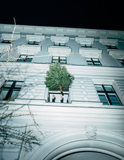 © Nikita Teryoshin - O Tannenbaum.jpg