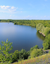 Marche_Temps_Profond_Mare_Goriaux_Raismes - @ Office de Tourisme de La Porte du Hainaut - Patrick Clement.jpg