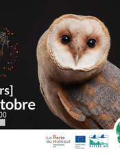 A_Decouverte_Oiseaux_Nuit_Wallers_31oct25.jpg