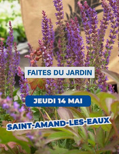 Faites-du-Jardin_St-Amand-les-Eaux_Jeu14mai26.jpg