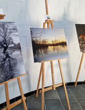 5 Animations_Zones_Humides_Parc_PorteduHainaut_Sam21fev26 - © Bertrand Demarez - redim.jpg