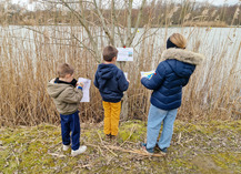 |Zones humides| Rallye des explorateurs des zones humides - Raismes