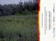 Finissage de l'exposition participative autour de Bernard Plossu - Douchy-les-Mines