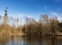 |Zones humides| Randonnée autour des plans d'eau du site minier de Sabatier - Raismes
