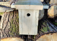 |Festival de l'oiseau| Un nichoir pour la nature - Raismes