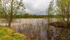 |Festival de l'Oiseau| Secrets des étangs et de la faune sauvage