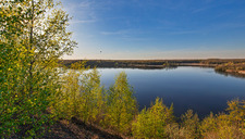 |Festival de l'Oiseau| Paradis des oiseaux à la Mare à Goriaux