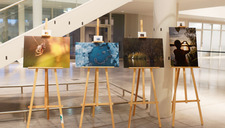 |Zones humides| Exposition photo