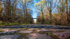 |Festival de l'Oiseau| La Trouée d’Arenberg : entre nature et légende
