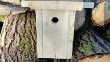 |Festival de l'oiseau| Un nichoir pour la nature