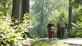 Forêt domaniale de Raismes-Saint-Amand-Wallers - Saint-Amand-les-Eaux