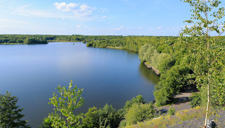 Mare à Goriaux - Raismes