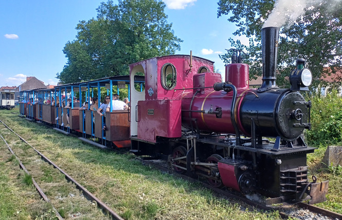 Train touristique de la Vallée de la Scarpe 1 - Saint-Amand-les-Eaux