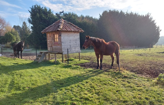 Gîtes Les Gernadiers 6 - Saint-Amand-les-Eaux