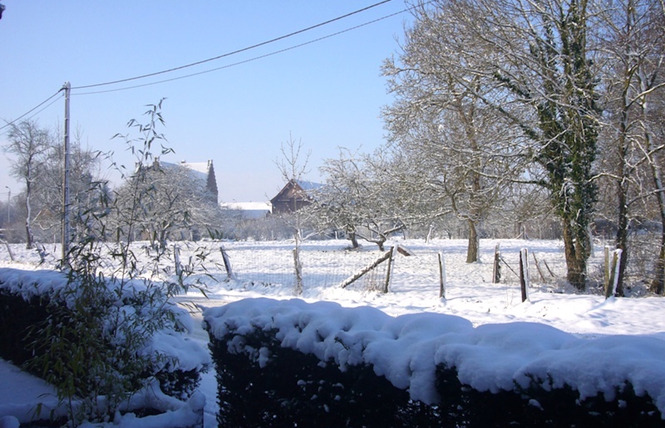 Aux Gîtes Du Clos du Carme 12 - Saint-Amand-les-Eaux