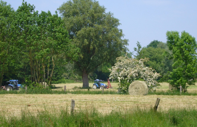 Aux Gîtes Du Clos du Carme 11 - Saint-Amand-les-Eaux