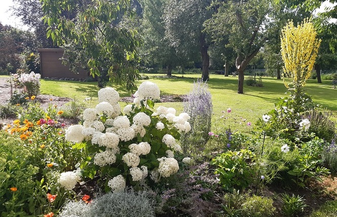 Au beau jardin 3 - Flines-lès-Mortagne