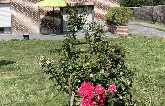 Gîte des Fèves 6 - Lecelles