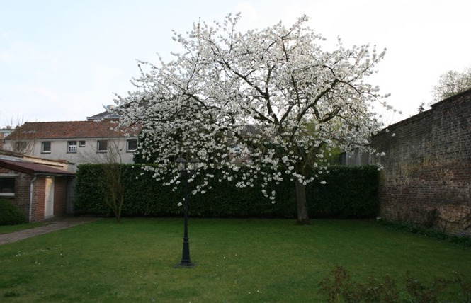 A.H. LOCATIONS 5 - Saint-Amand-les-Eaux