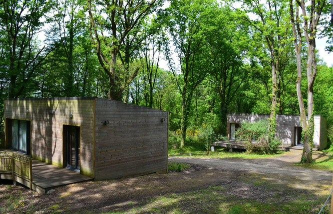 Résidence Les Nids du Coucou 4 - Bruille-Saint-Amand